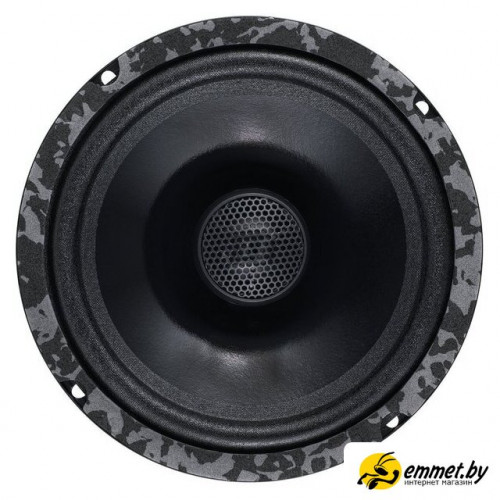 Коаксиальная АС DL Audio Anaconda 165 Coax