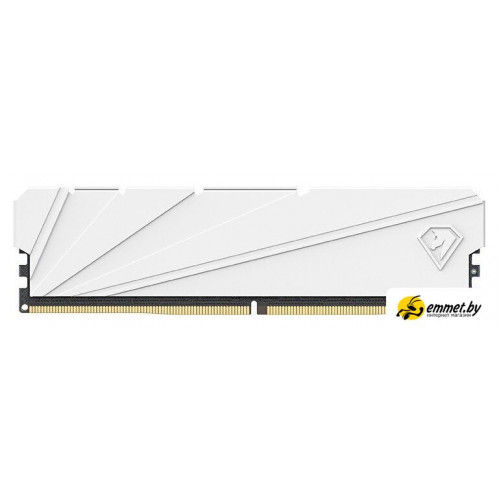 Оперативная память Netac Shadow S 8ГБ DDR4 2666 МГц NTSSD4P26SP-08W