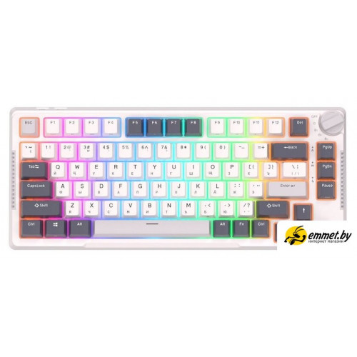 Клавиатура Royal Kludge RK-H81 RGB White Night (RK Blue)