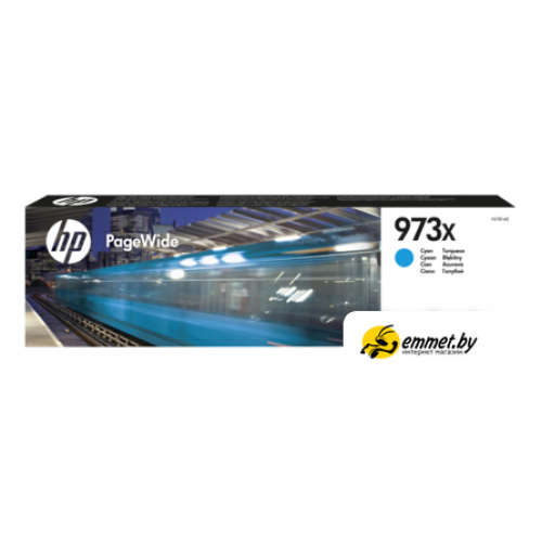 Картридж HP 973X [F6T81AE]