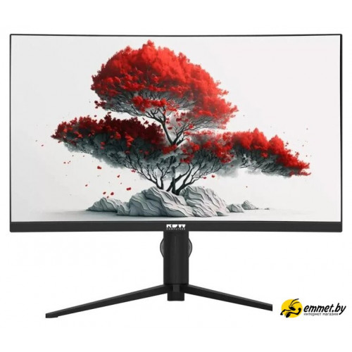 Монитор RDW Computers 2706C/Q03В375V2A1