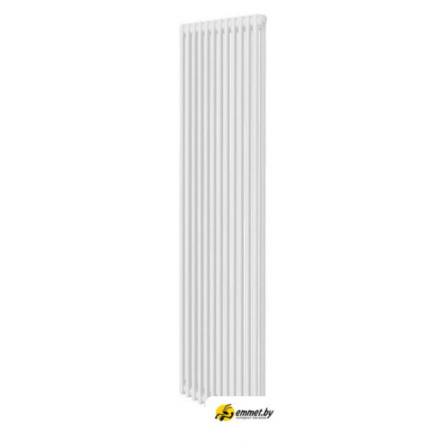 Стальной трубчатый радиатор Royal Thermo Insignia C2180 - 12 секций RAL9016 (дубль)