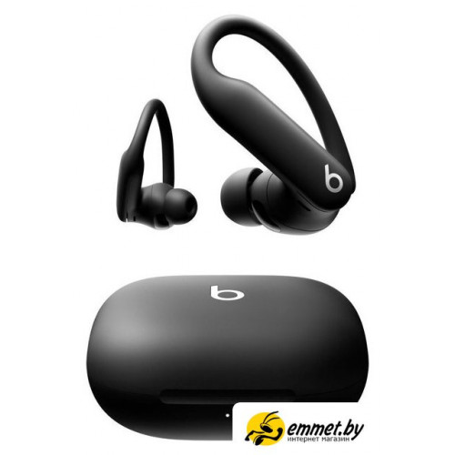 Наушники Beats Powerbeats Pro 2 (черный)