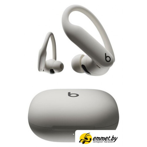 Наушники Beats Powerbeats Pro 2 (серый)