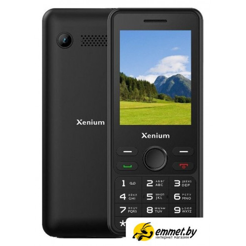 Кнопочный телефон Xenium X280 (черный)