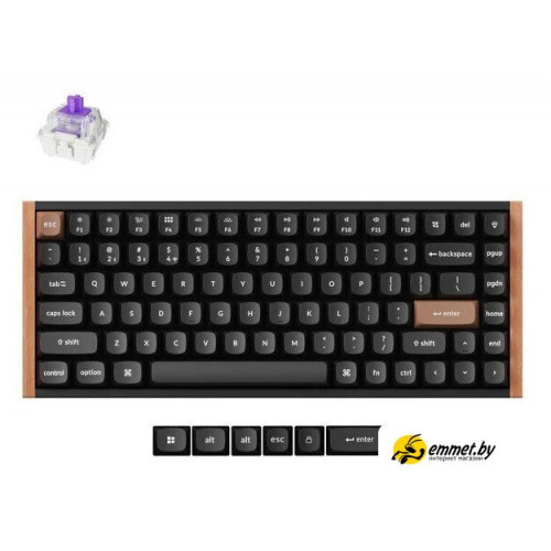 Клавиатура Keychron K2 HE Special Edition Black K2H-F1 (Nebula Magnetic)