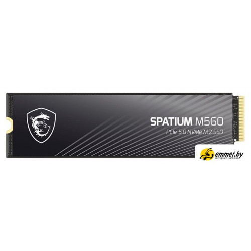 SSD MSI Spatium M560 2TB S78-440Q940-P83