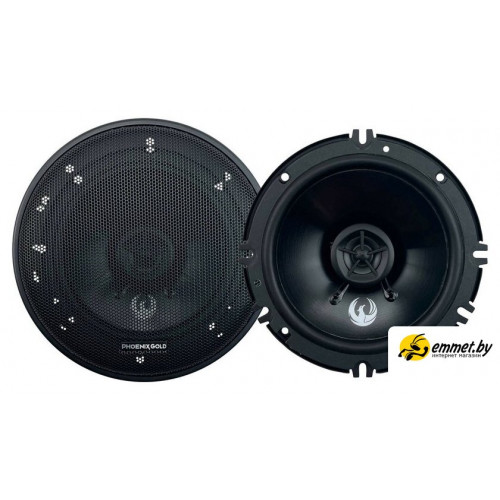 Коаксиальная АС Phoenix Gold Z65CXi