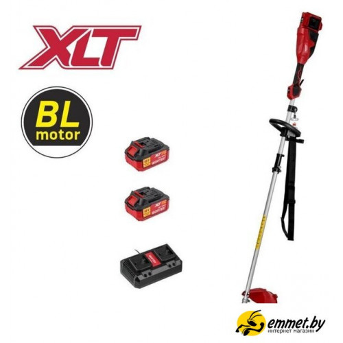 Триммер Wortex TB 3036-1 ALL1 XLT Set 1334872 (с 2-мя АКБ)