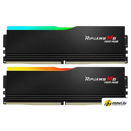 Оперативная память G.Skill Ripjaws M5 Neo RGB 2x32ГБ DDR5 6000 МГц F5-6000J3040G32GX2-RM5NRK
