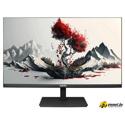 Монитор RDW Computers 2401K/F00В3100V2A1H