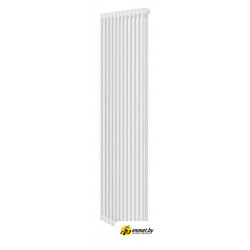 Стальной трубчатый радиатор Royal Thermo Insignia VC2180 - 12 секций RAL9016