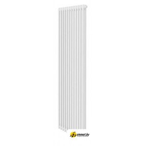 Стальной трубчатый радиатор Royal Thermo Insignia VC2180 - 12 секций RAL9016