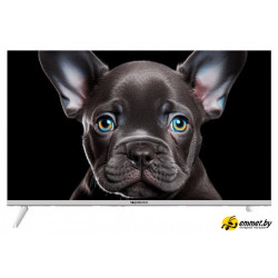 Телевизор Topdevice 32