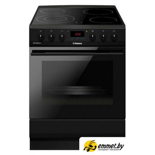 Кухонная плита Hansa FCCM69225H