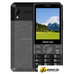 Кнопочный телефон Xenium X800 (черный/серый) Кнопочный телефон Xenium X800 (черный/серый)