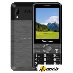 Кнопочный телефон Xenium X800 (черный/серый)