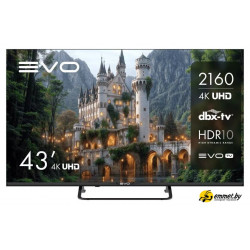 Телевизор Evo TV 43 Black TD0051752RU Телевизор Evo TV 43 Black TD0051752RU
