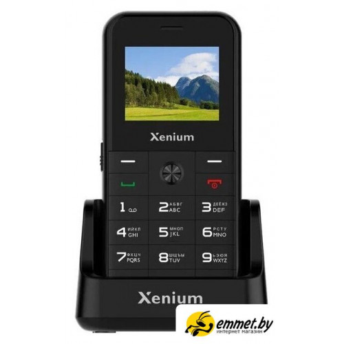 Кнопочный телефон Xenium X718 (черный)