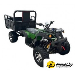 Квадроцикл BNP Stryker 250 Cargo (зеленый)
