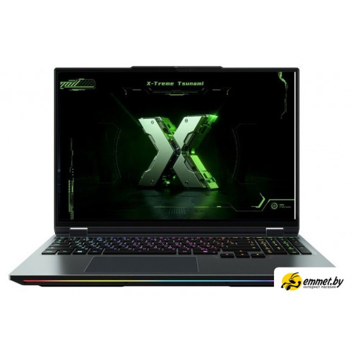Игровой ноутбук Maibenben X-Treme Tsunami X16E X16E-R99558NQSHBRE0