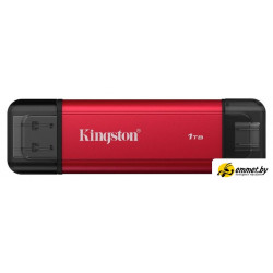Внешний накопитель Kingston Dual Portable SSD SPSD/1TB Внешний накопитель Kingston Dual Portable SSD SPSD/1TB