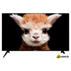 Телевизор Topdevice 50 Телевизор Topdevice 50