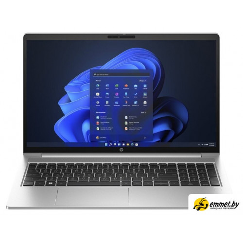 Ноутбук HP ProBook 450 G10 7L702ET Win 11 Pro