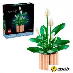 Конструктор LEGO The Botanical Collection 11504 Мирная лилия