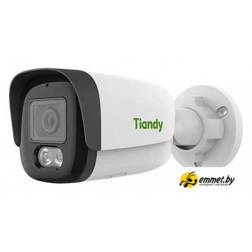 IP-камера Tiandy TC-C35WS 3ERA-28