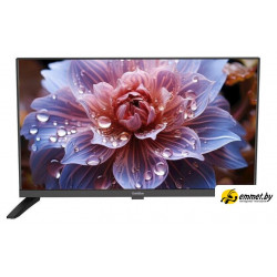 Телевизор GoldStar LT-24R1000 Телевизор GoldStar LT-24R1000