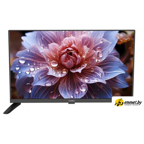 Телевизор GoldStar LT-24R1000