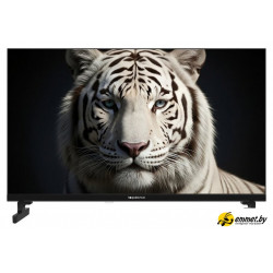 Телевизор Topdevice 24