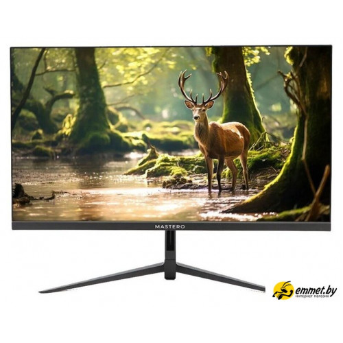 Монитор Mastero P2222H