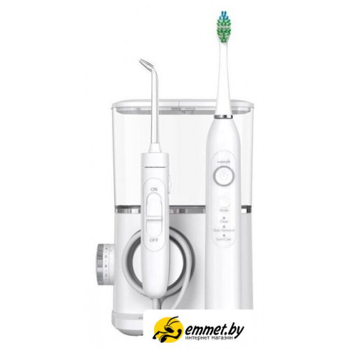 Электрическая зубная щетка и ирригатор Waterpik Cordless Plus 5000 WF-26EU (черный)