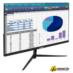 Монитор ExeGate ProSmart EZ2400 EX299031RUS Монитор ExeGate ProSmart EZ2400 EX299031RUS