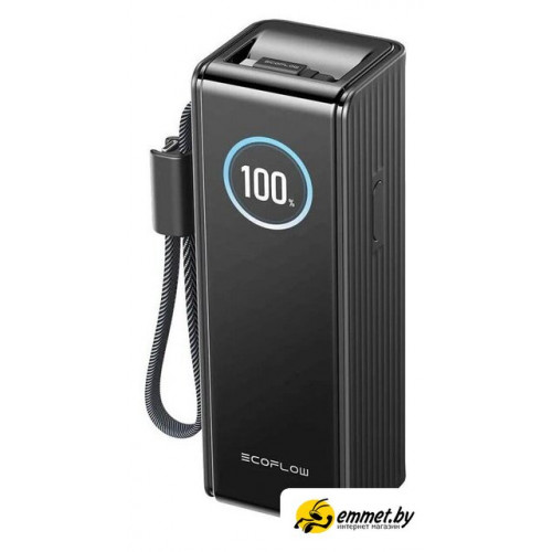 Внешний аккумулятор EcoFlow Rapid 25000mAh (с кабелями 100 Вт, 170 Вт, черный)