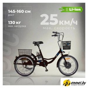 Электровелосипед MyWay Trike 350 Max 24 р.15 (черный)