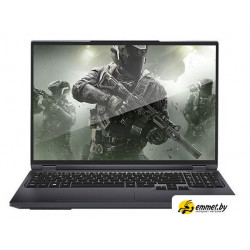 Игровой ноутбук Maibenben X-Treme Typhoon X16C X16C-R725550F44HG4E10