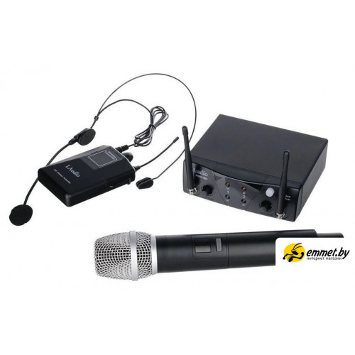 Радиосистема LAudio PRO2-MH