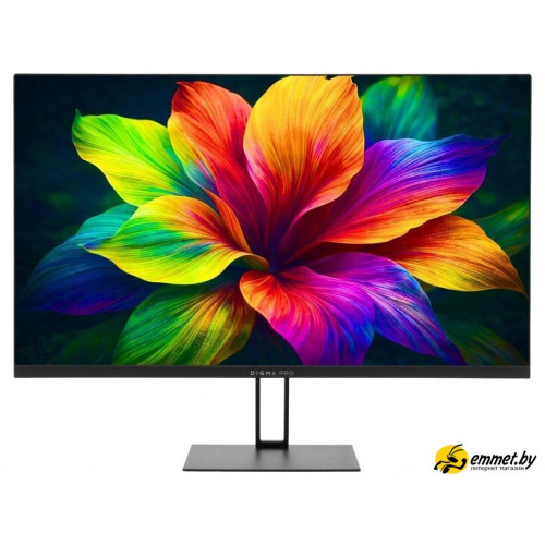 Монитор Digma Pro Motion L TM27SB02