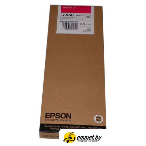 Картридж Epson C13T606B00