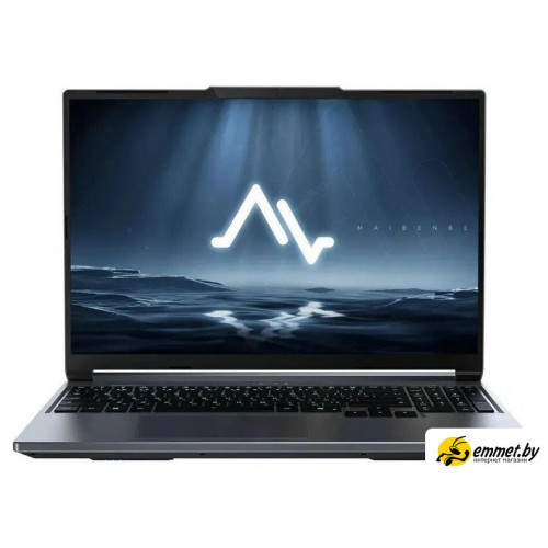 Игровой ноутбук Maibenben X-Treme Typhoon X16C X16C-i737560FERLG4E10