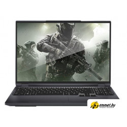 Игровой ноутбук Maibenben X-Treme Typhoon X16C X16C-R725550F44LG4E10