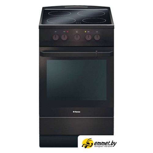 Кухонная плита Hansa FCCB54000