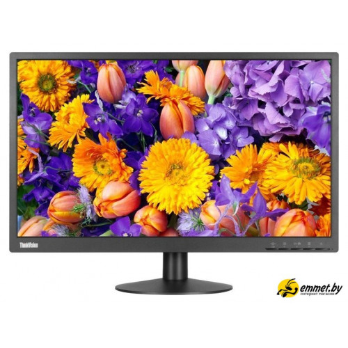 Монитор Lenovo ThinkVision E24-10