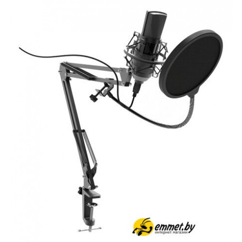 Проводной микрофон Ritmix RDM-180