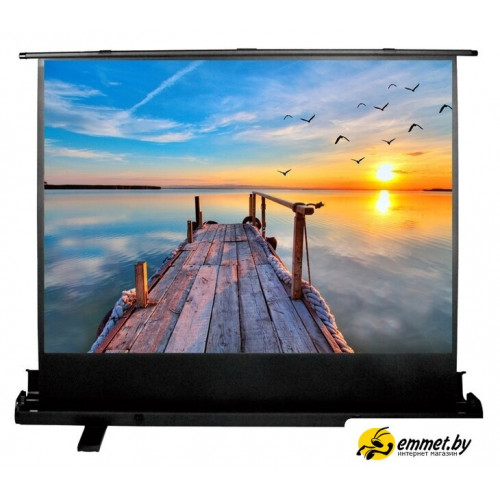 Проекционный экран CACTUS FloorExpert 113x200 CS-PSFLE-200х113