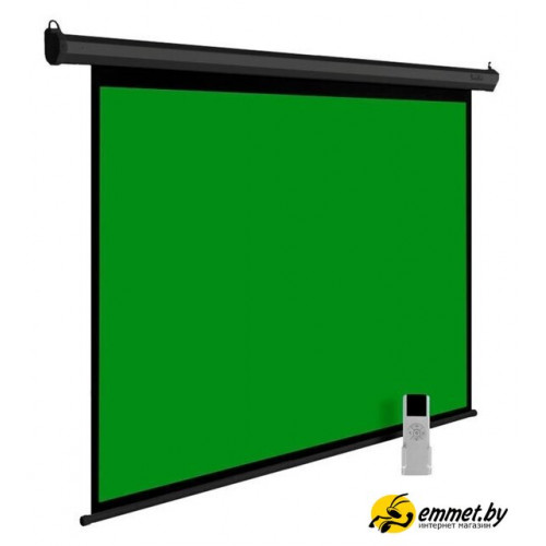Проекционный экран CACTUS GreenMotoExpert 200x200 CS-PSGME-200X200