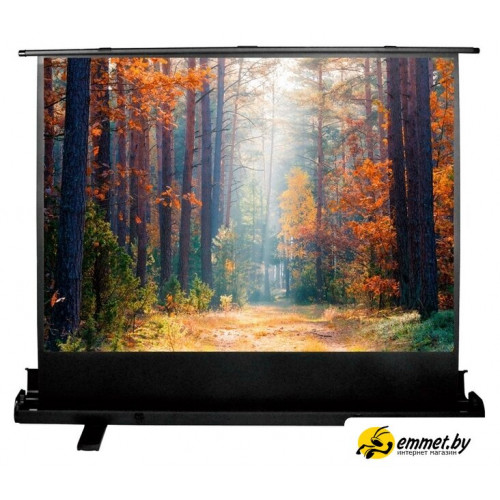 Проекционный экран CACTUS FloorExpert 90x160 CS-PSFLE-160X90